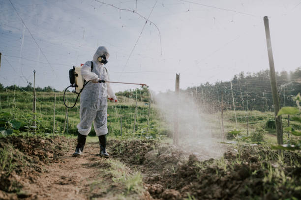 Best Pest Control for Homes  in Conneaut, OH