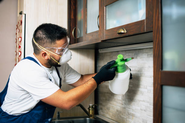 Best Spider Control Near Me  in Conneaut, OH
