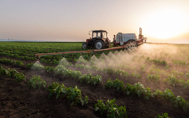 Reliable Conneaut, OH Pest Control Solutions