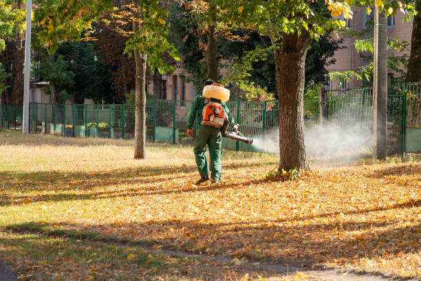 Best Affordable Pest Control Services  in Conneaut, OH