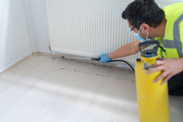 Best Wasp Removal Services  in Conneaut, OH